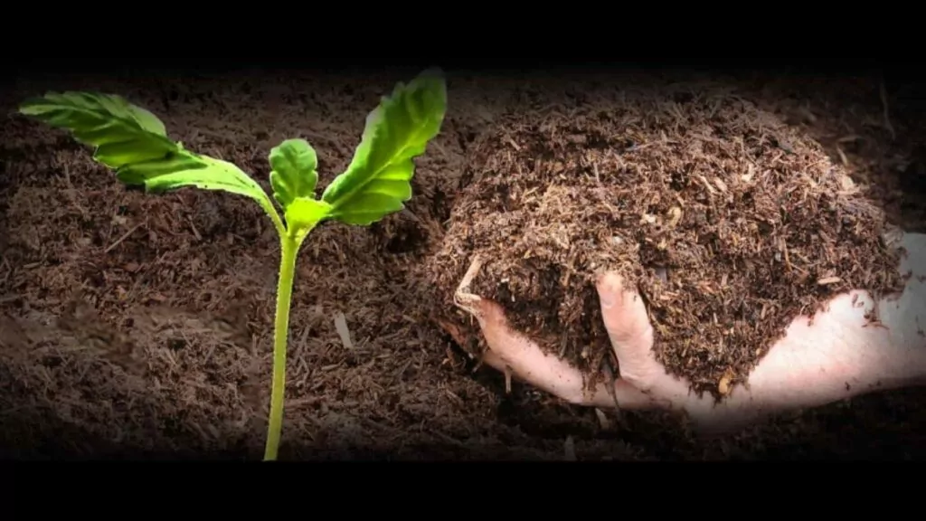 Image showcasing the process of composting to enrich soil, depicting organic waste transforming into nutrient-rich compost