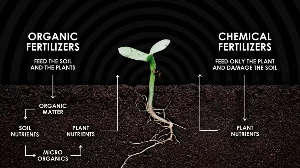 organic nutrients vs. synthetic nutrients