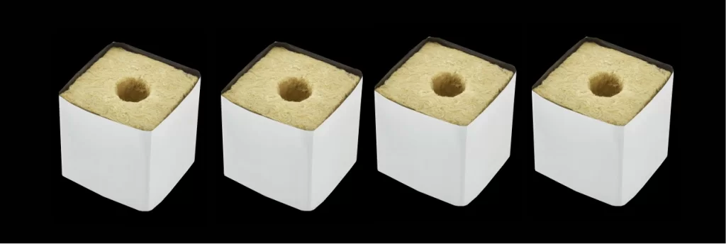 rockwool blosck for germination
