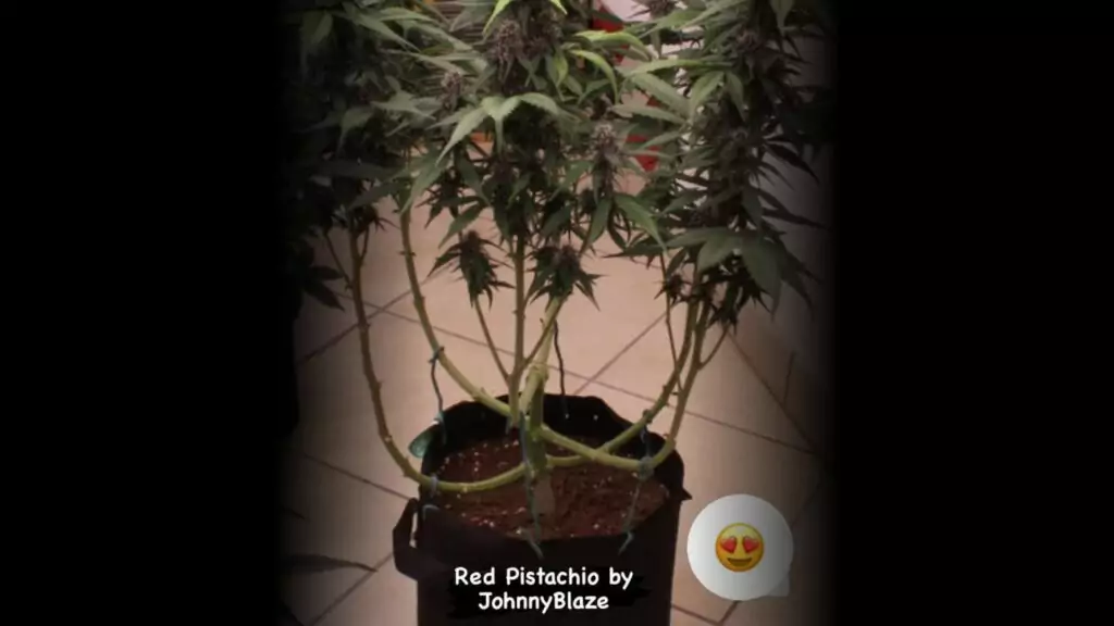 LST in soil