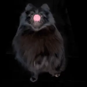 please subscribe